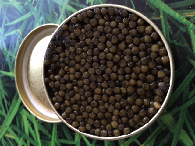 Terrina Caviar Irani Beluga Categoría 000