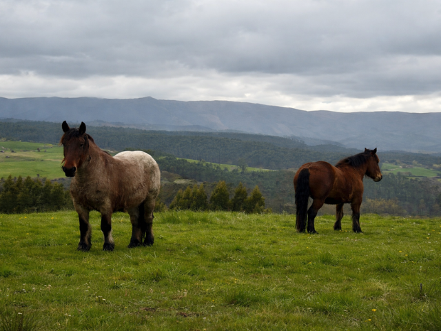 Casería de la Mar: donde el reloj pierde sentido.