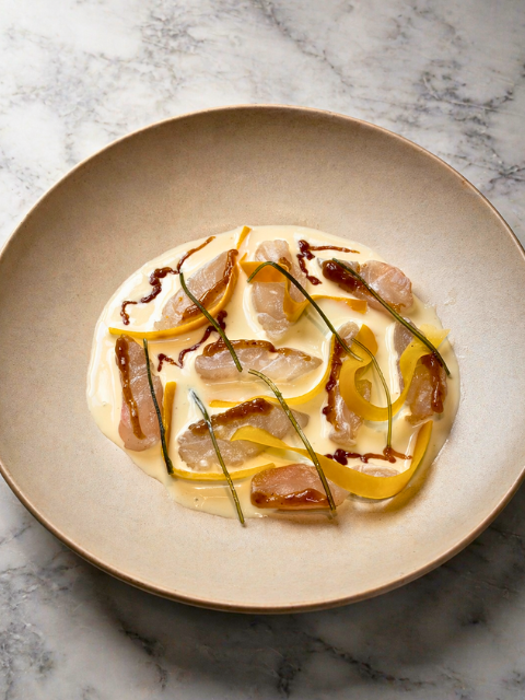 Fusión sin fronteras en MANIFESTO 13