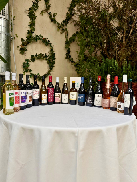 Más Que Vinos presenta sus vinos premium en OVILLO